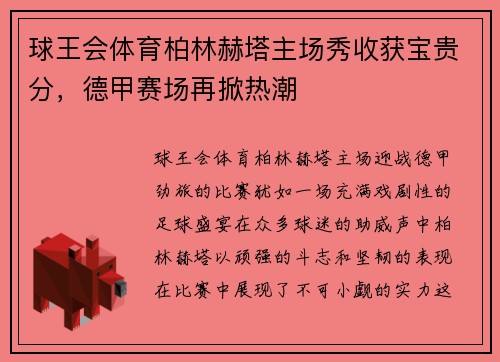 球王会体育柏林赫塔主场秀收获宝贵分，德甲赛场再掀热潮